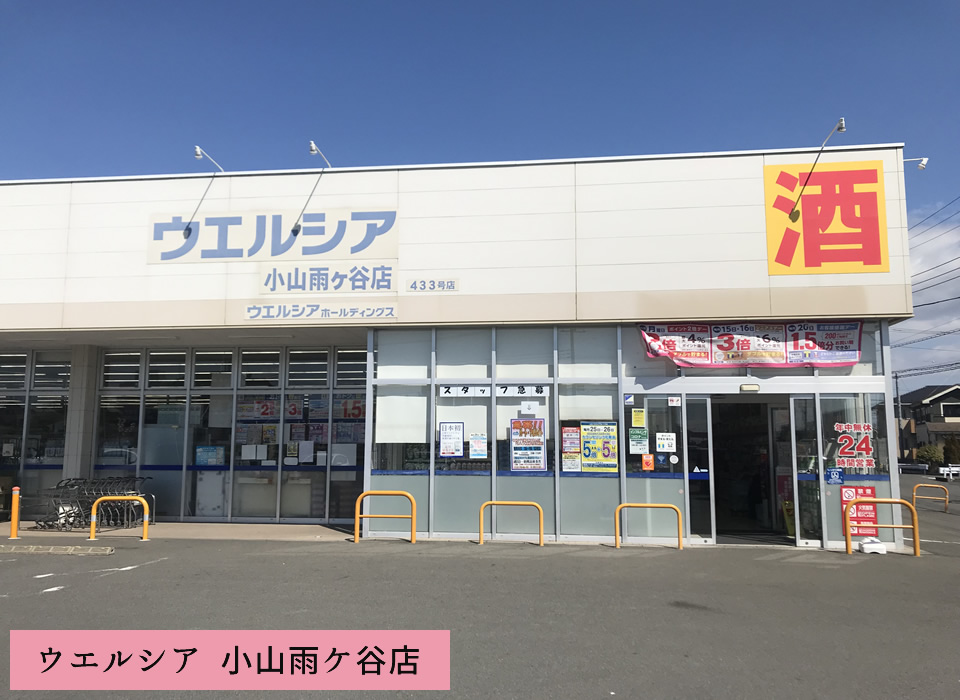 ウエルシア 小山雨ケ谷店