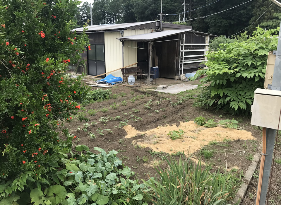 宇都宮市下砥上町　農地