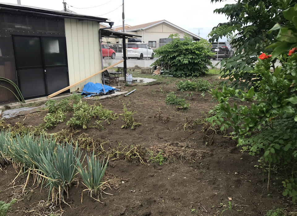 宇都宮市下砥上町　農地
