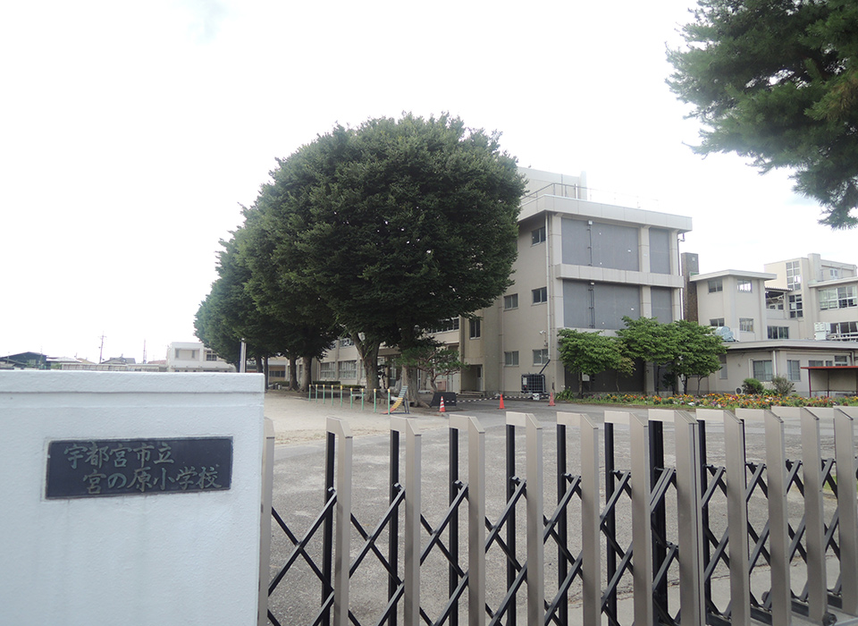 宮の原小学校