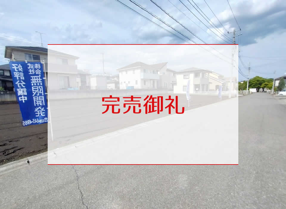 現地写真