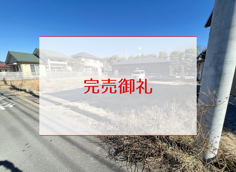 現地写真