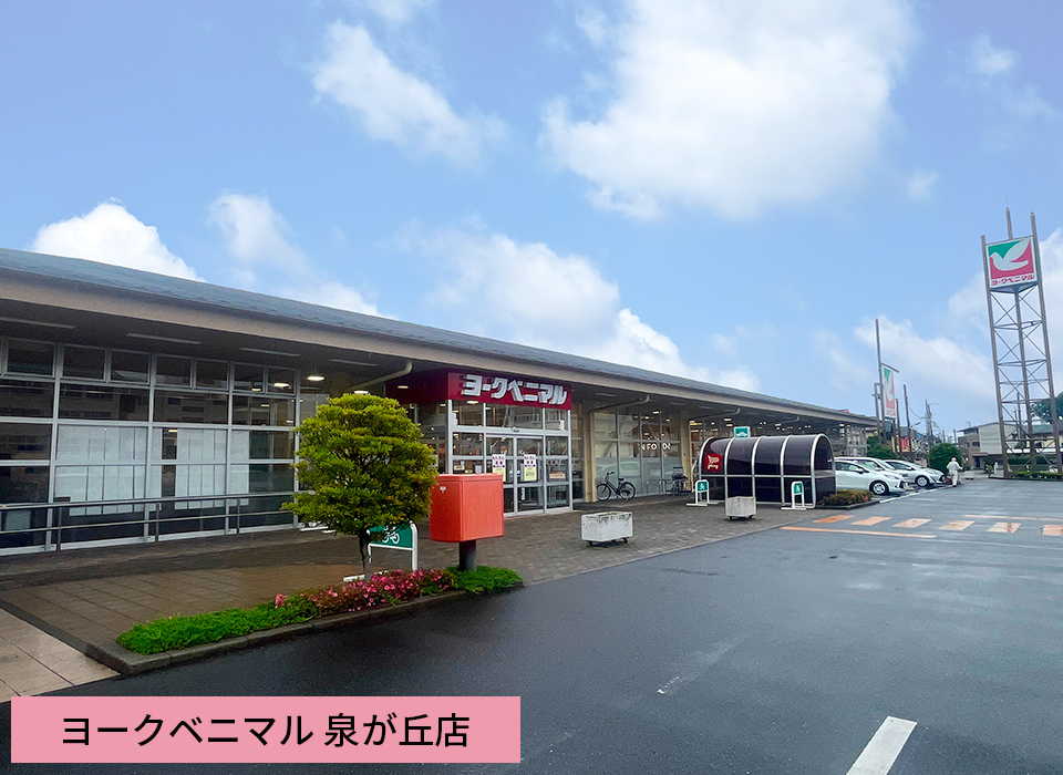 ヨークベニマル泉が丘店