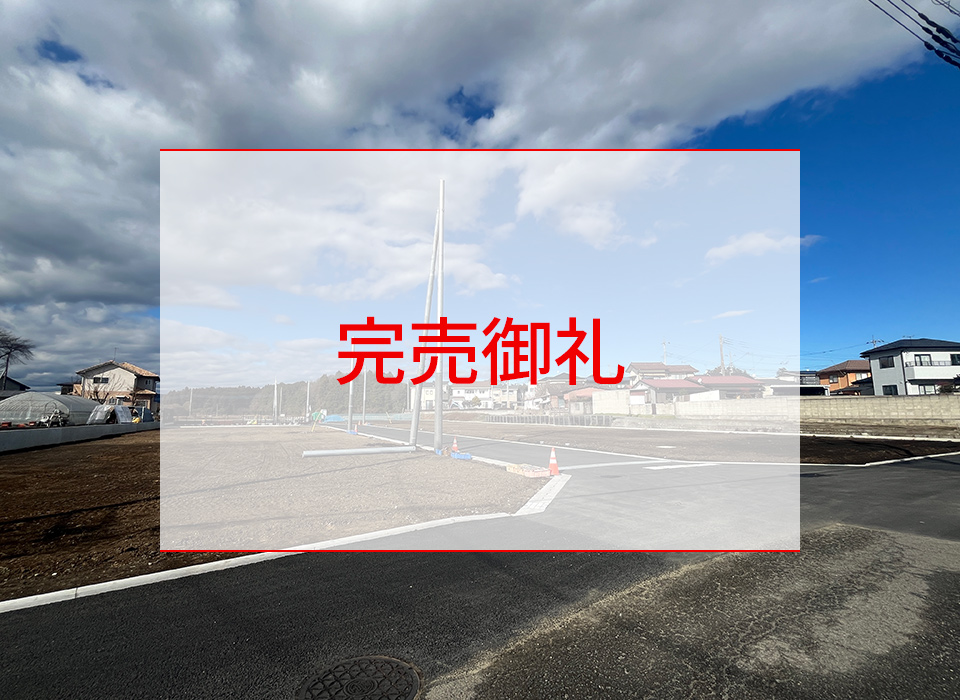 現地写真